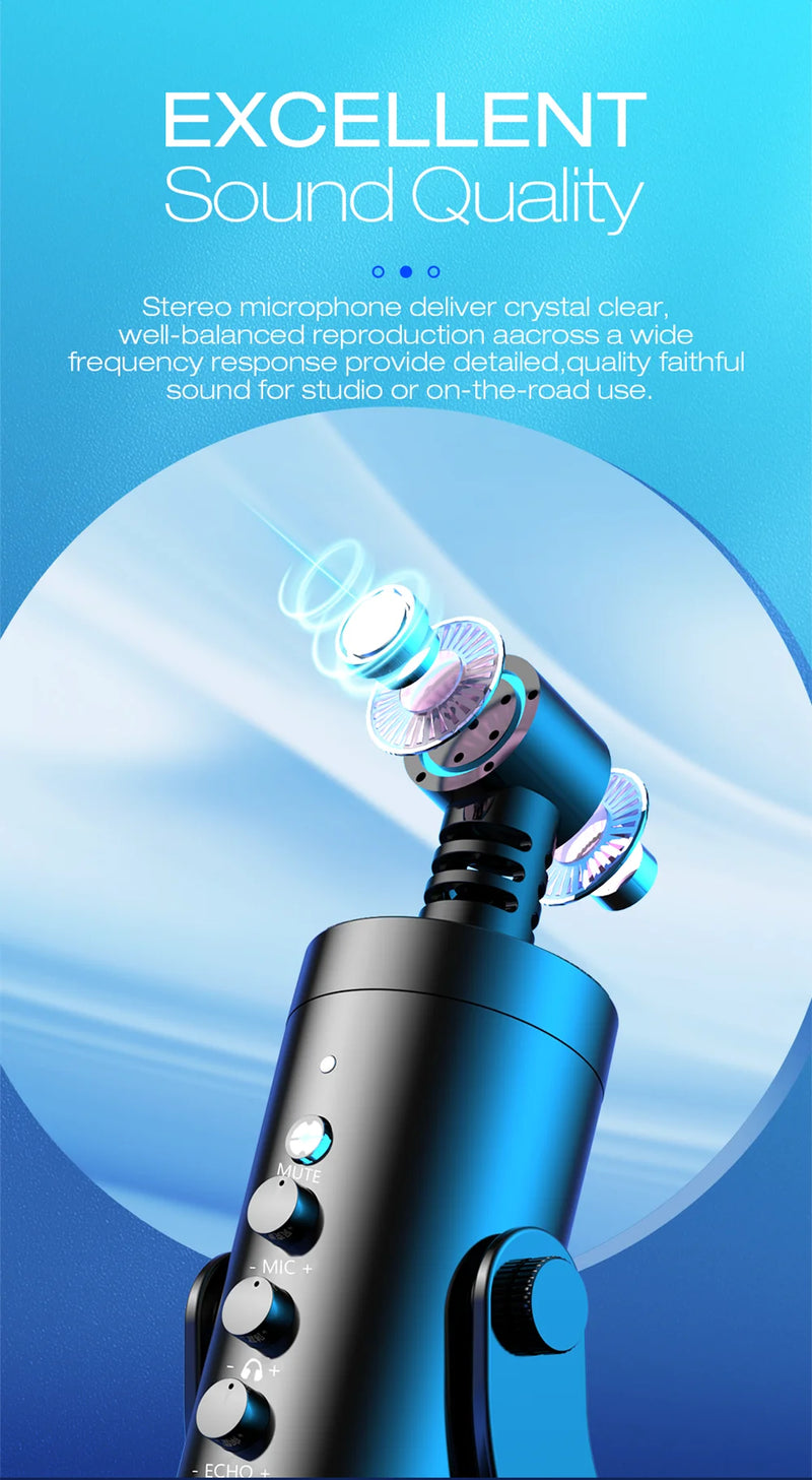 Microfone Profissional-Haomuren