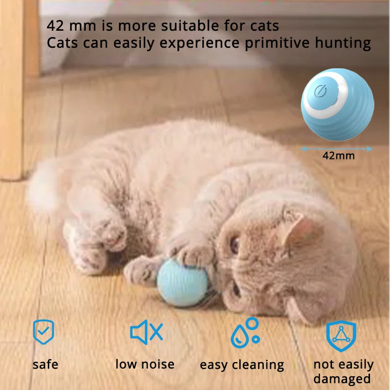 Brinquedo Interativo para Gatos