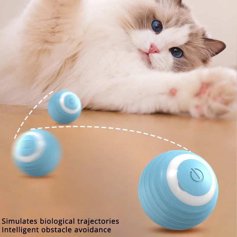 Brinquedo Interativo para Gatos
